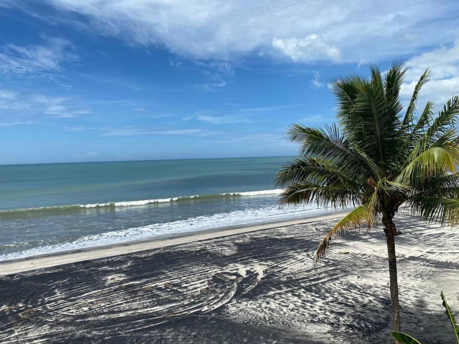 Coronado Beachfront Tropical Home! Playa Coronado Ngoại thất bức ảnh